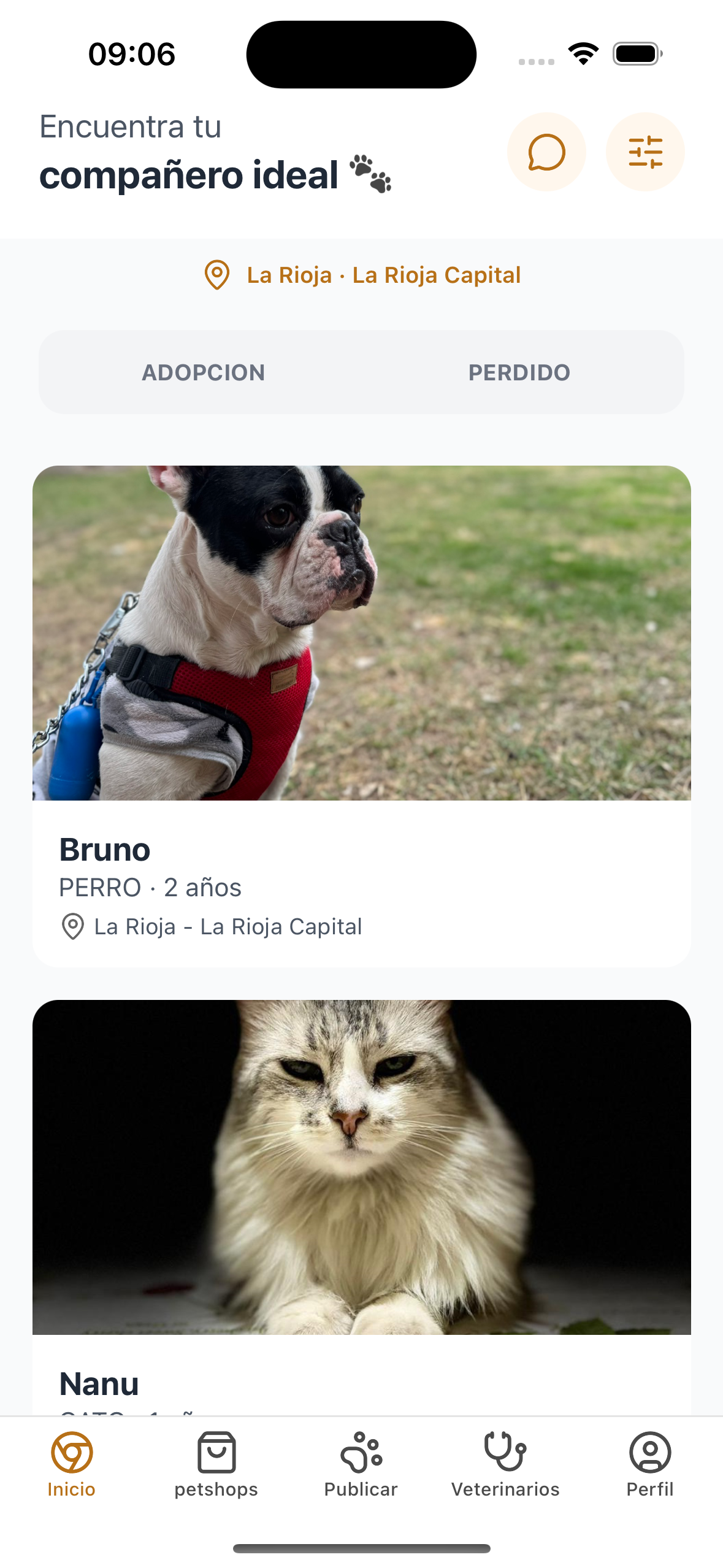 Encuentra tu compañero ideal